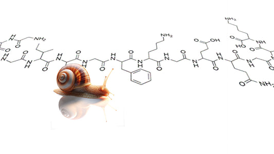 Lumaca su sfondo bianco con molecole chimiche della formula del collagene utile per la rigenerazione cellulare e la salute della pelle