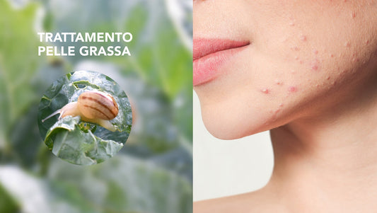 Lumaca su foglia e viso con pelle grassa: trattamento naturale con bava di lumaca